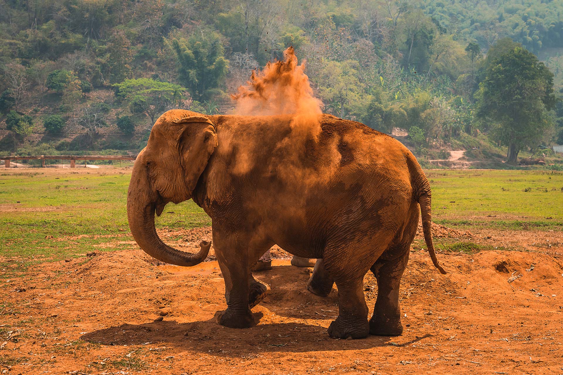 Photo-1920×1200-ChiangMai