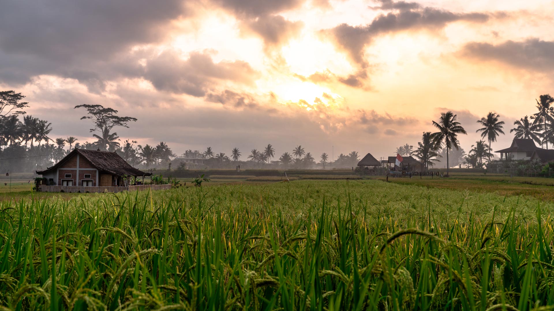 1920×1080-Bali3