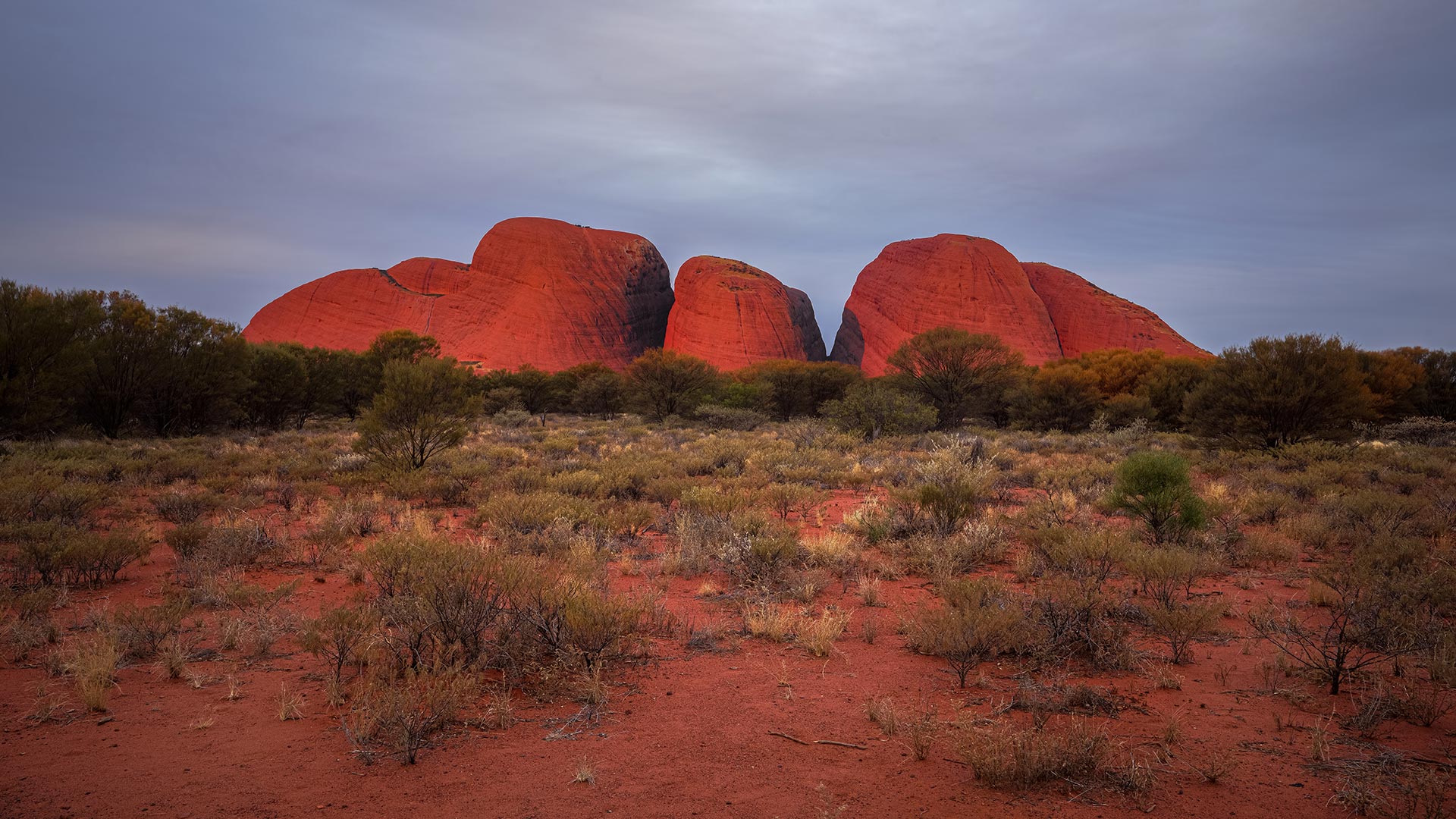 Photo-1920×1080-Outback1