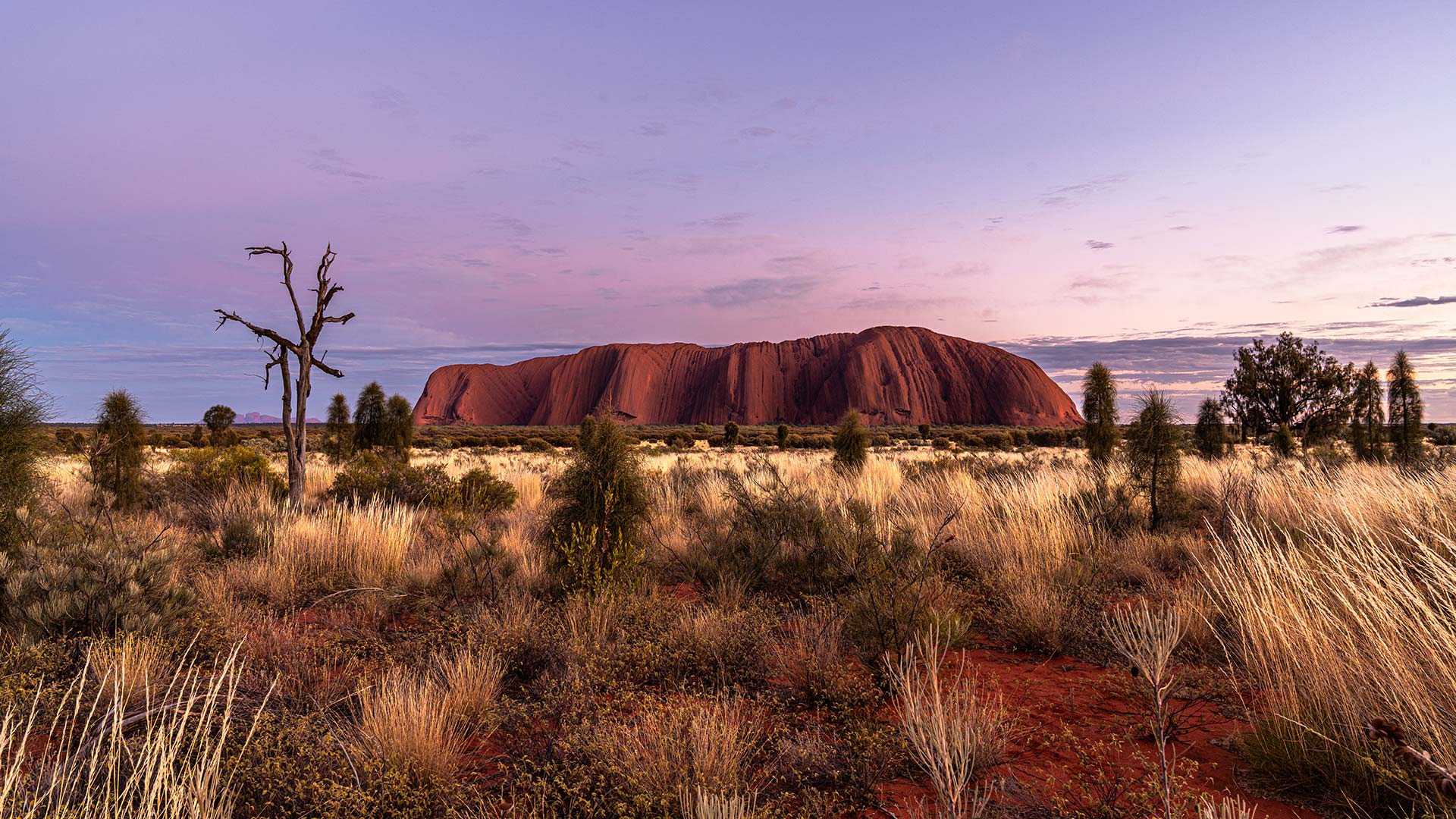 Photo-1920×1080-Outback3
