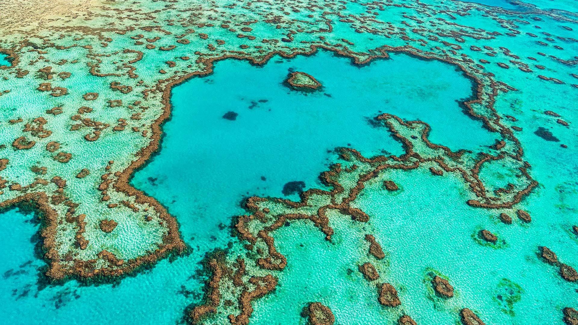 Photo-1920×1080-Reef2