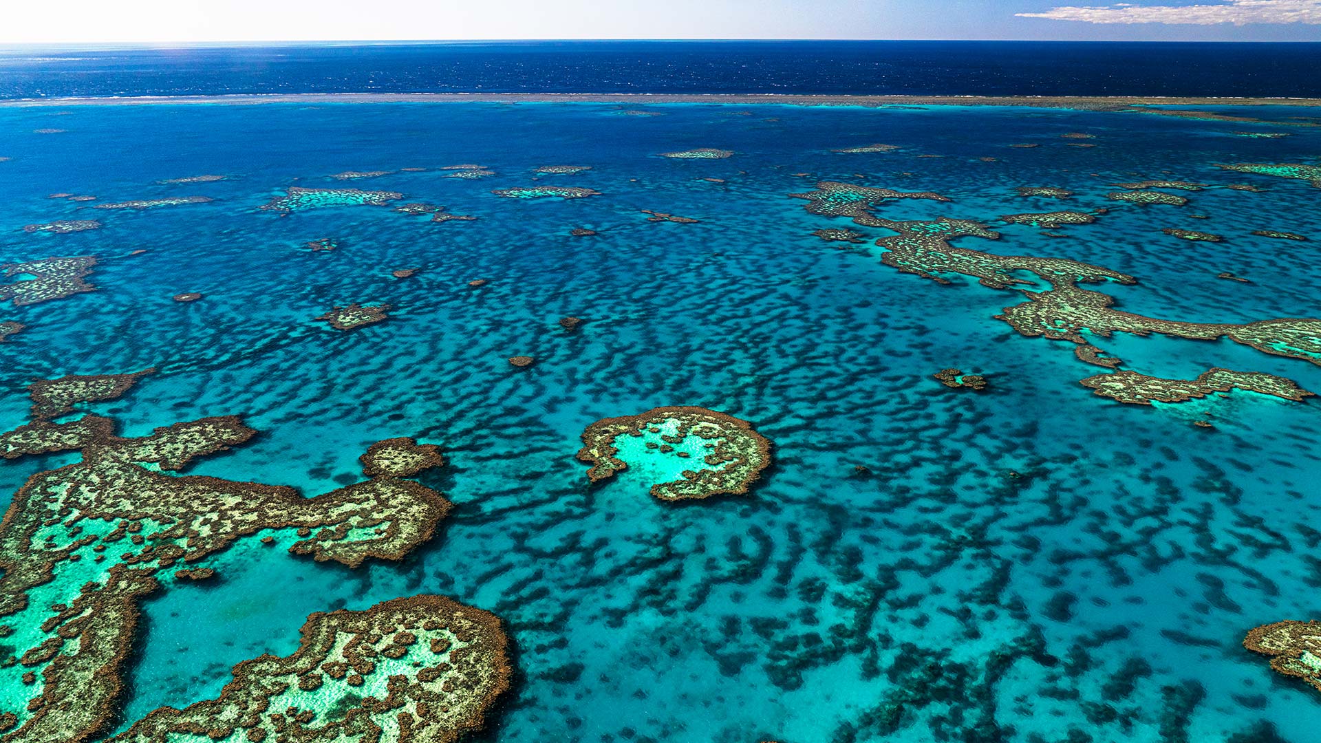 Photo-1920×1080-Reef3