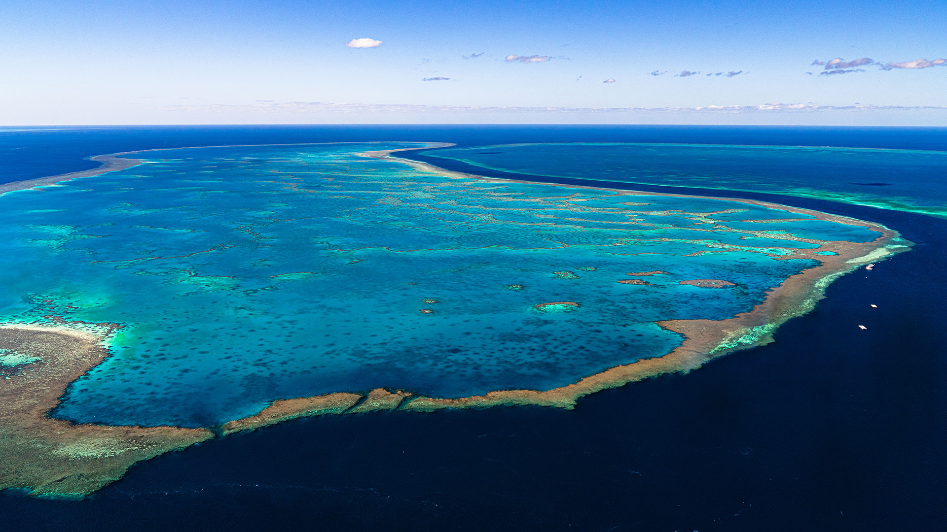 Photo-1920×1080-Reef4