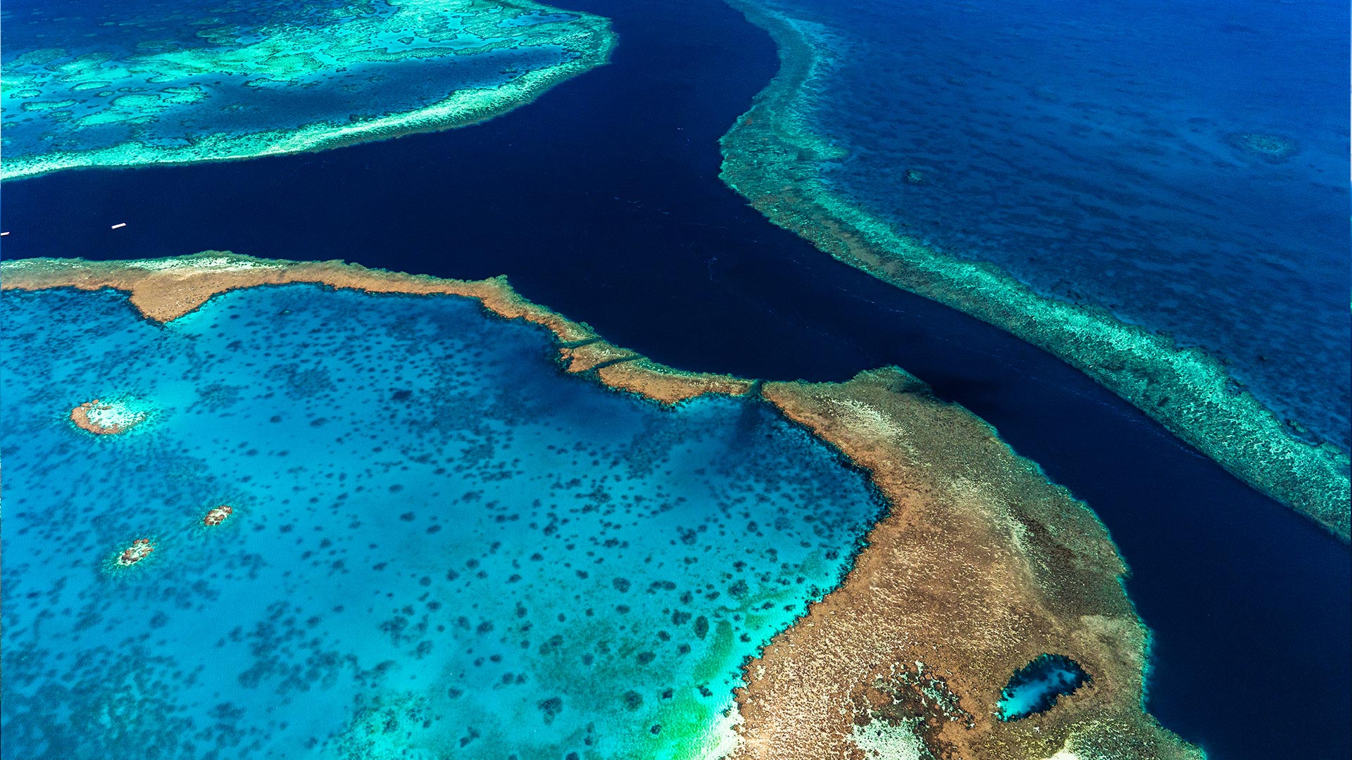 Photo-1920×1080-Reef5