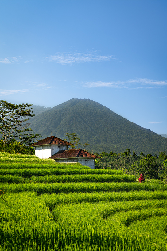 Photo-Vertical-544-Bali5