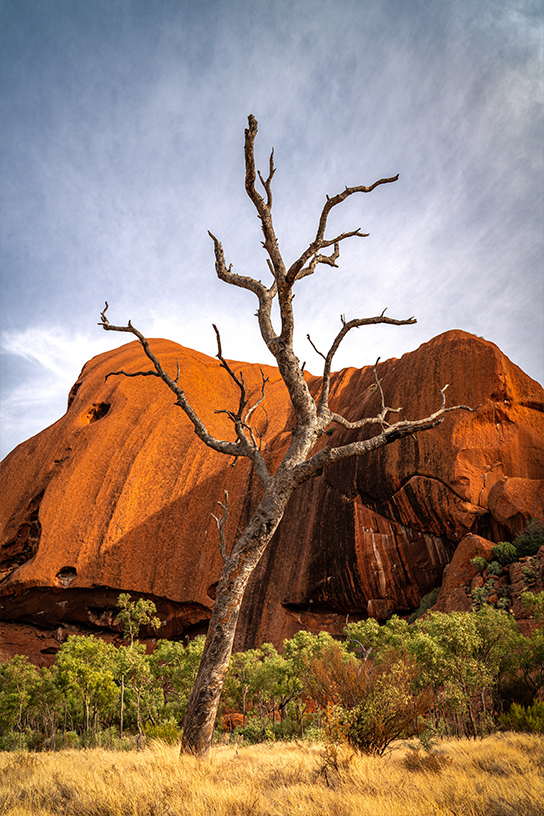 Photo-Vertical-544-Outback4