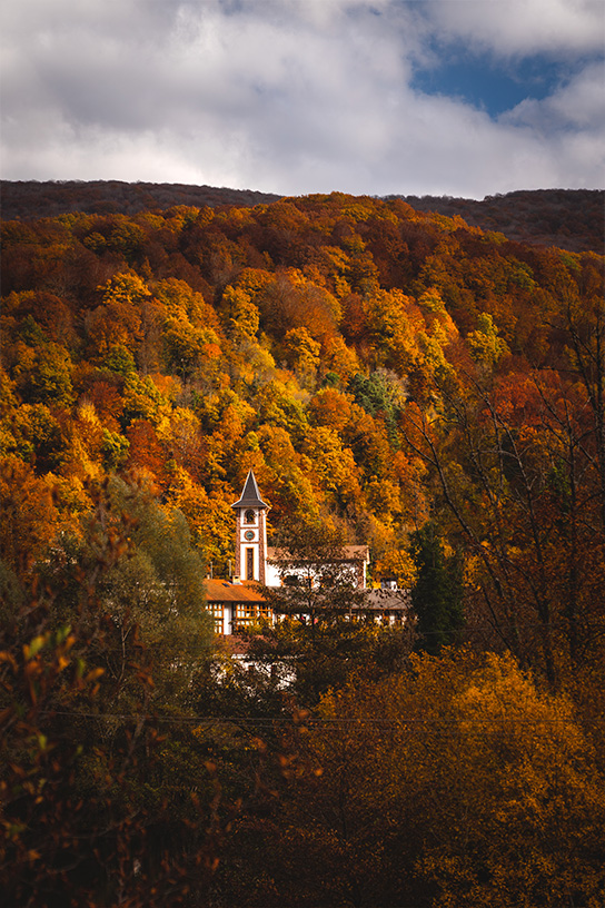 Photo-Vertical-544-Zamariain2