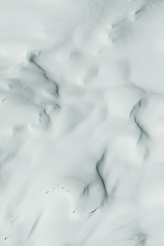 Photo-Vertical-544-tong1